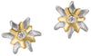 Ohrstecker Silber 925 rhodiniert Edelweiss