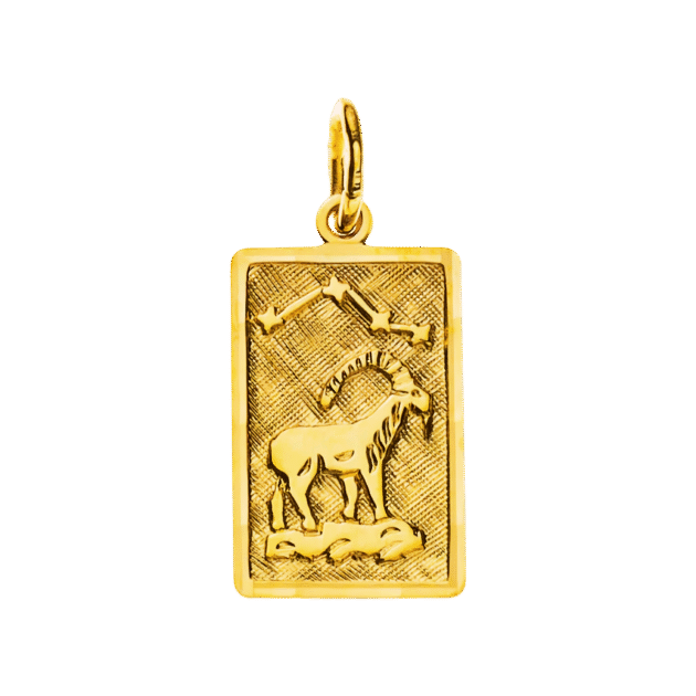 Anhänger Sternzeichen Steinbock Gelbgold 750