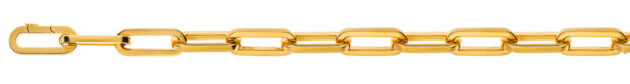 Armband Anker oval Gelbgold 750 Handarbeit 21.5cm